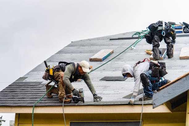 Professional Flat Roof Repair technician working in Schley, VA